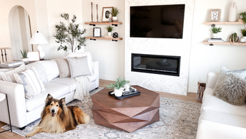 Pet-Friendly Cloud Modular Sectionals for Animal Lovers
