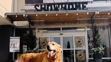 Why You Should Shop at a Furniture Outlet in Calgary: Showhome Furniture