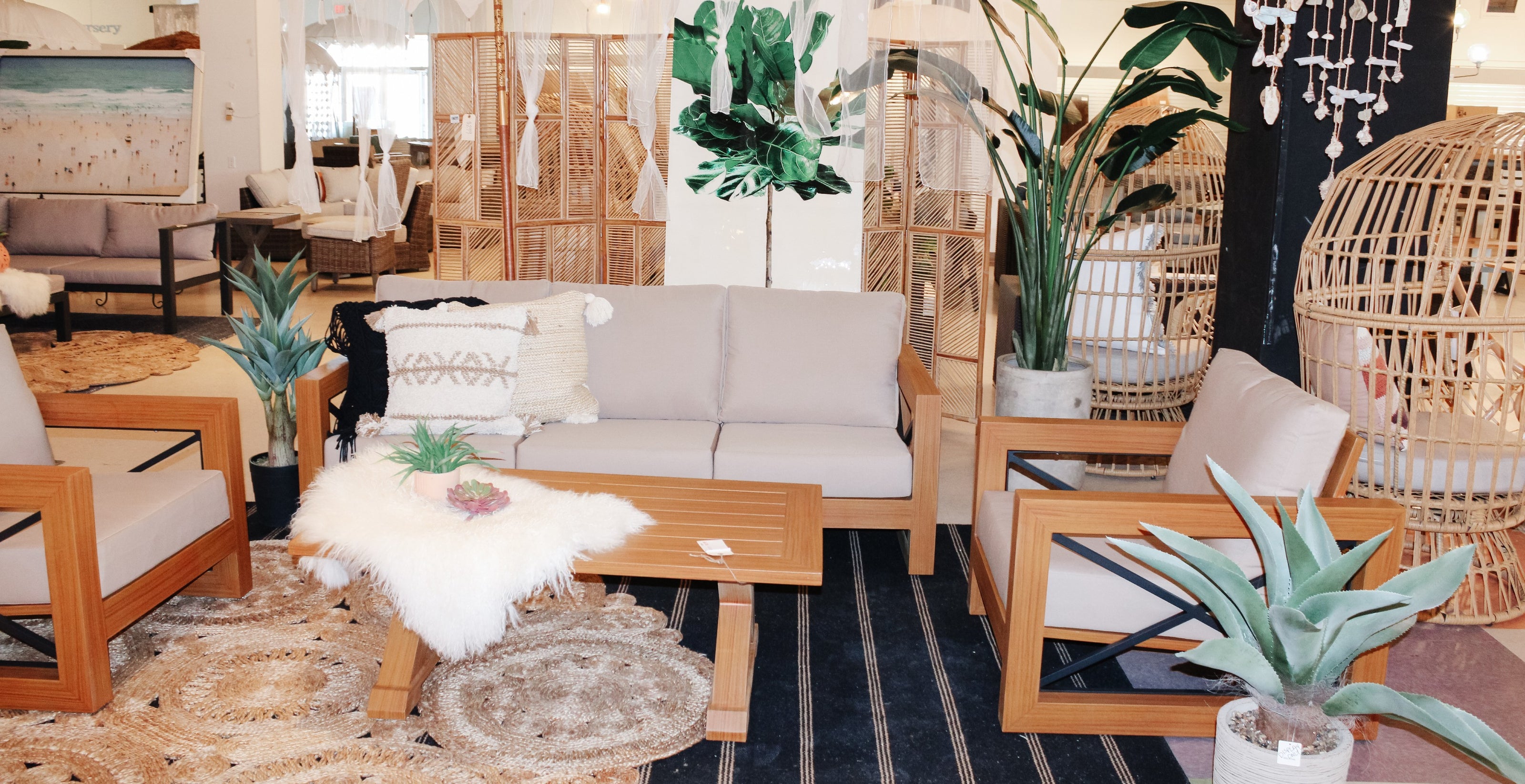 Patio 50% Off Cash and Carry