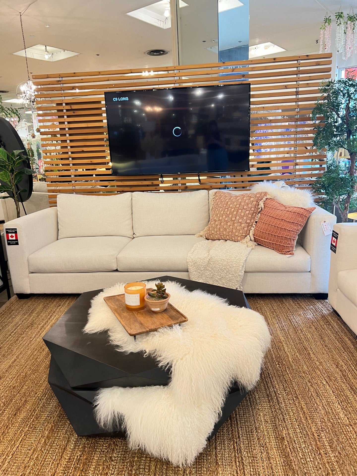 Cloud Skana Sofa 🇨🇦 | Calgary Furniture Store