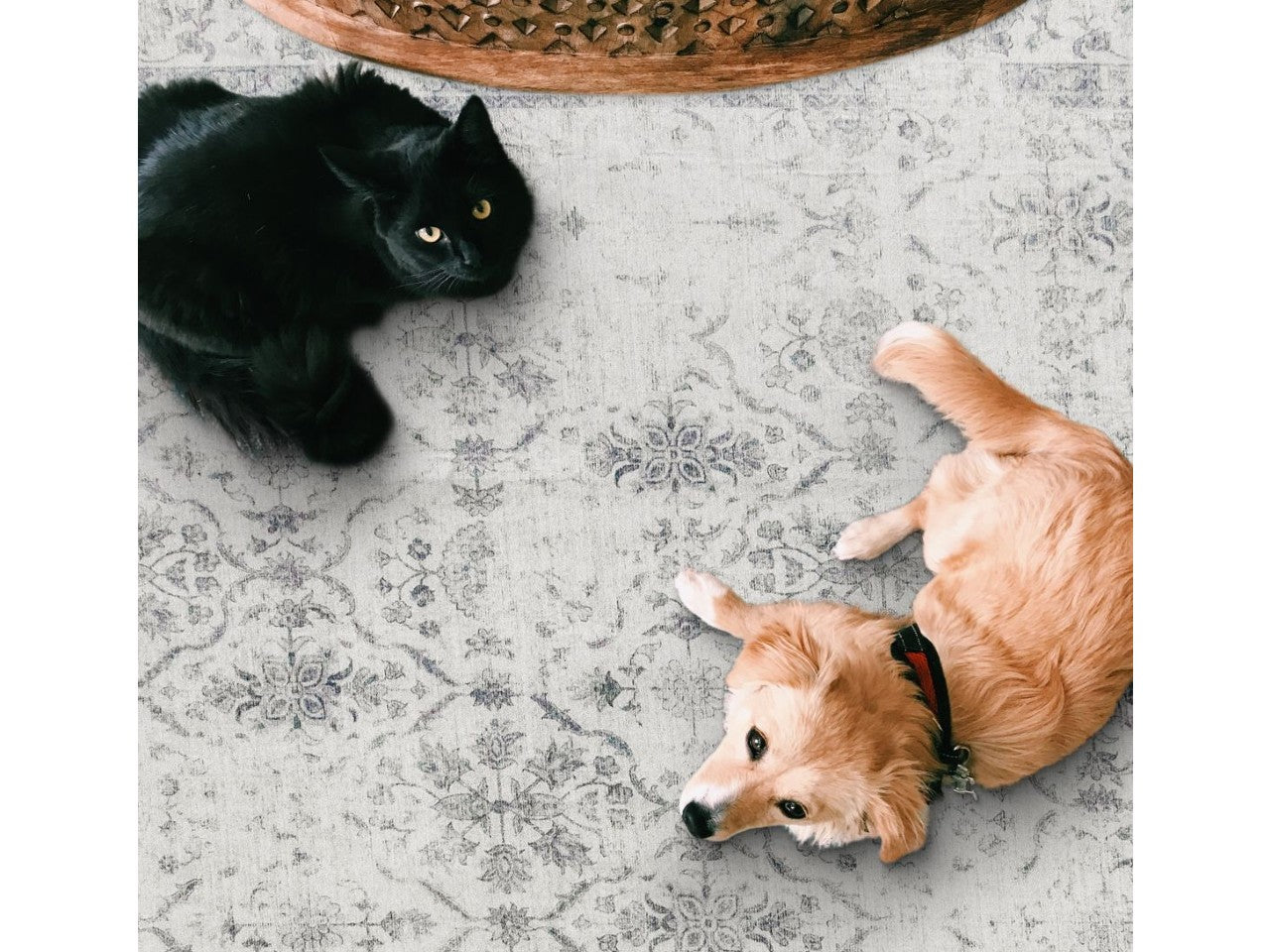 Noor Vintage - Ivory Gray Rug - Calgary Furniture Store