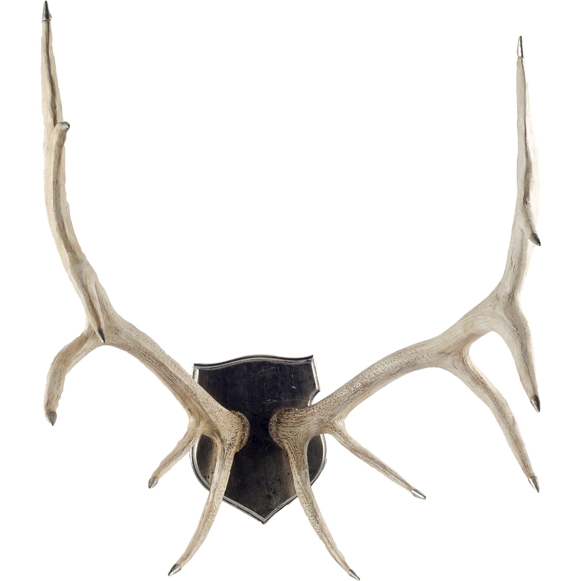 Sika wall resin antlers | Calgary Furniture Store