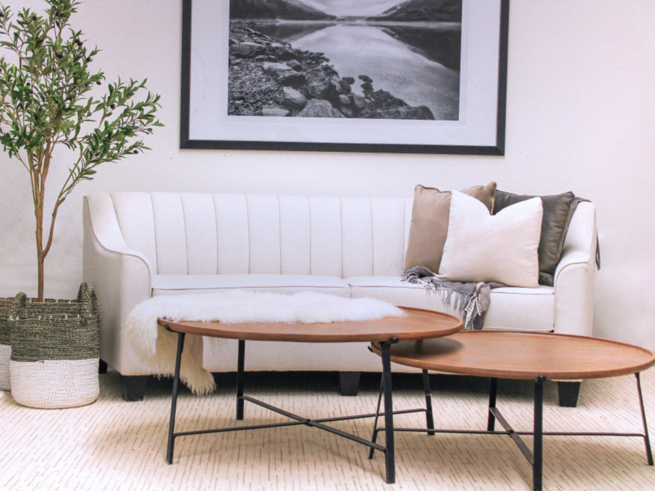 Chanel Curved Sofa 🇨🇦 | Calgary Furniture Store