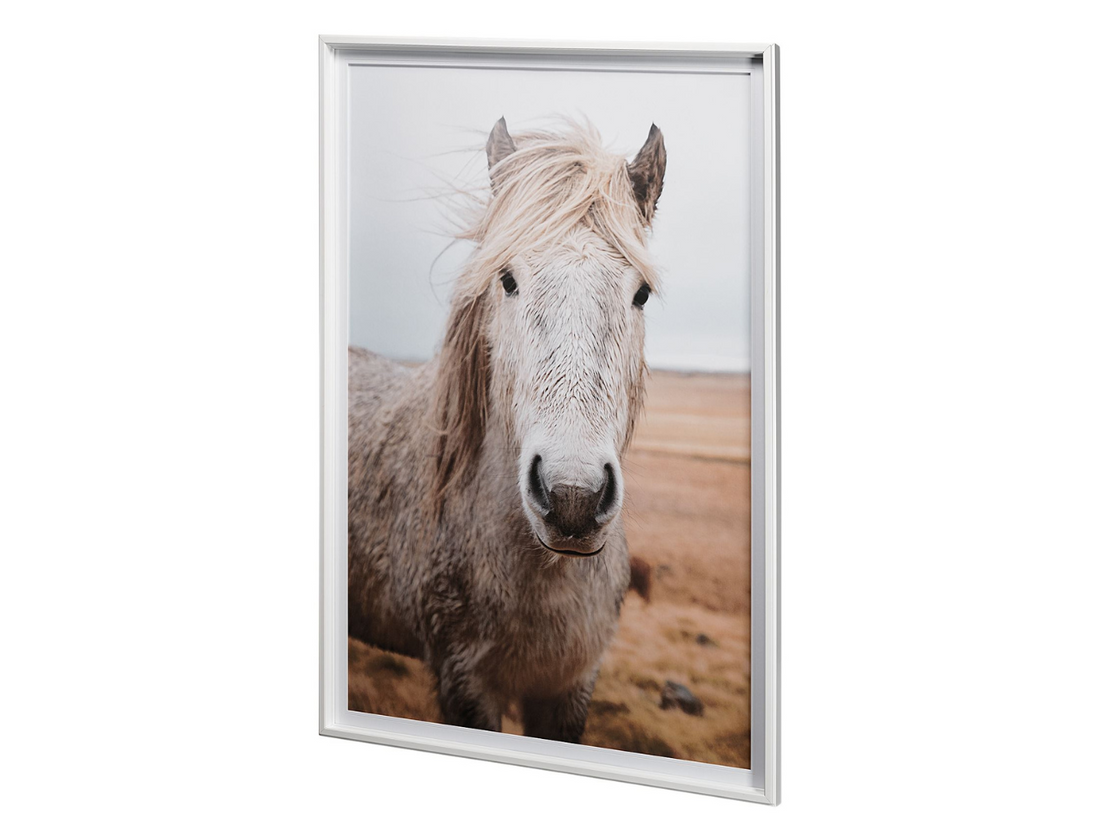 Heida 🇨🇦 | Calgary Furniture Store