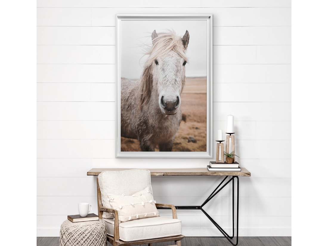 Heida 🇨🇦 | Calgary Furniture Store