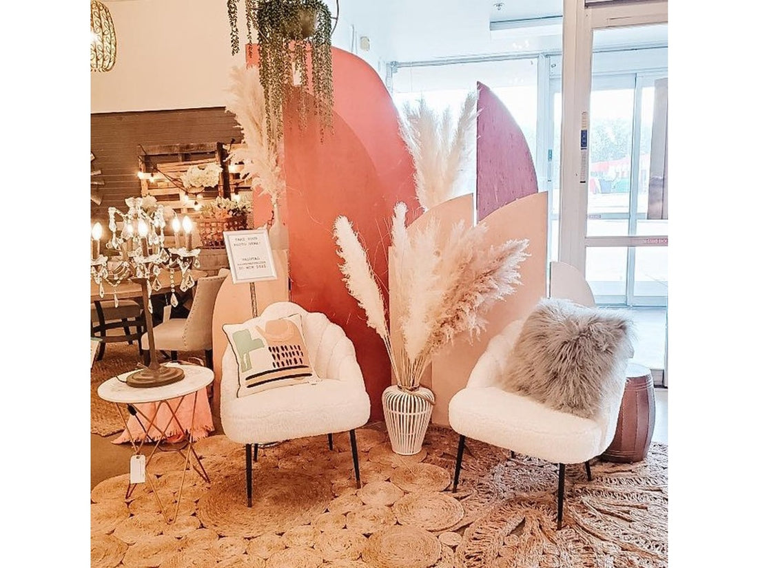 Pampas Grass | Calgary Furniture Store