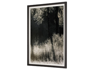 Tranquil Symmetry | Calgary Furniture Store