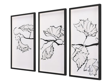 Begonia Vine | Calgary Furniture Store