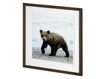 Curios Cub | Calgary Furniture Store