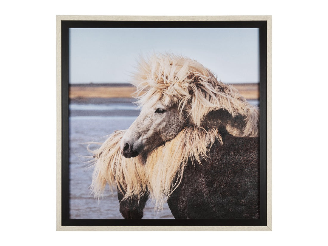 Entwinded | Calgary Furniture Store