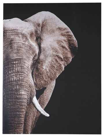 Jendayi Wall Art | Calgary Furniture Store