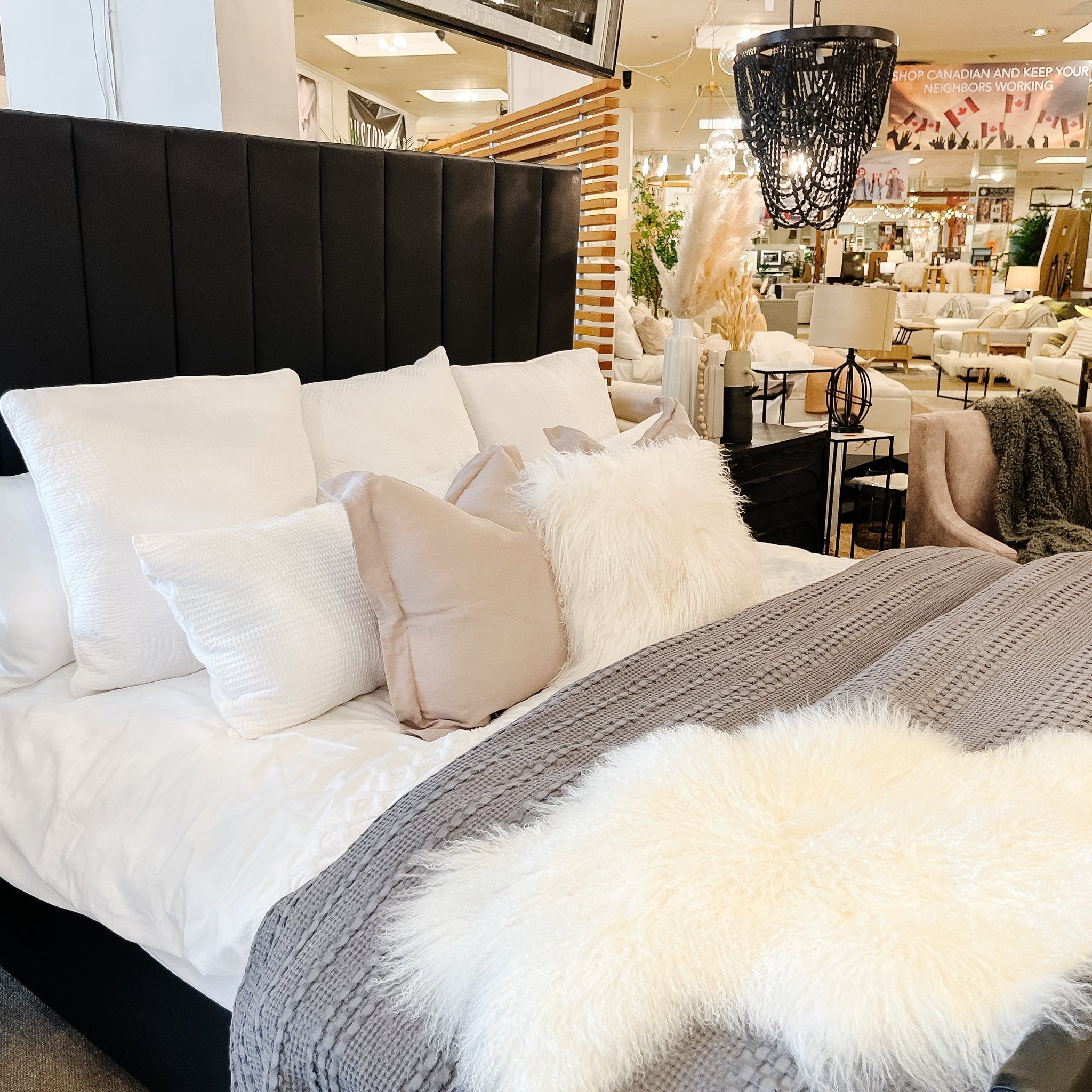 Showhome’s Custom Canadian Promos You Can’t Miss