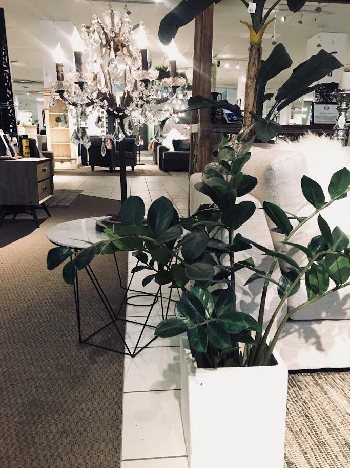 PROS AND CONS TO PLANTS IN THE BEDROOM
