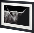 Highland Framed Wall Art Series - Farmhouse Animal Photography Prints