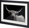 Highland Framed Wall Art Series - Farmhouse Animal Photography Prints