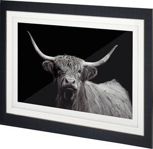 Highland Framed Wall Art Series - Farmhouse Animal Photography Prints