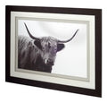 Highland Framed Wall Art Series - Farmhouse Animal Photography Prints