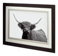 Highland Framed Wall Art Series - Farmhouse Animal Photography Prints