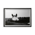 Flirt Framed Horse Photo Art Print Matted Under Glass