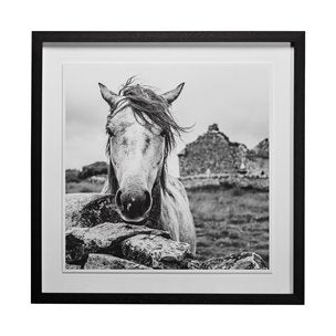 Ireland Black and White Framed Photo Print Matted Under Glass