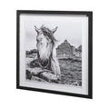 Ireland Black and White Framed Photo Print Matted Under Glass