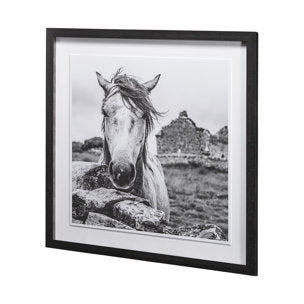 Ireland Black and White Framed Photo Print Matted Under Glass