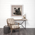 Bear Focus - Framed Art Photo Matted under Glass - Calgary Furniture Store