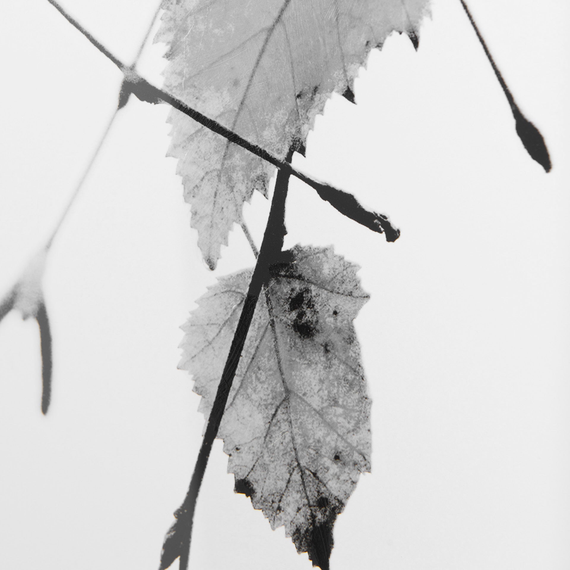 Solo by Rebecca Cozart Hand-Embellished Textured Framed Wall Art Print