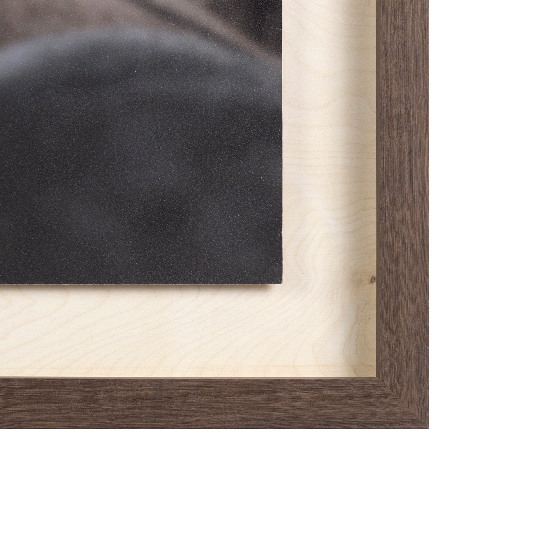 Hand-Embellished Framed Photo Art Custom White Horses Print