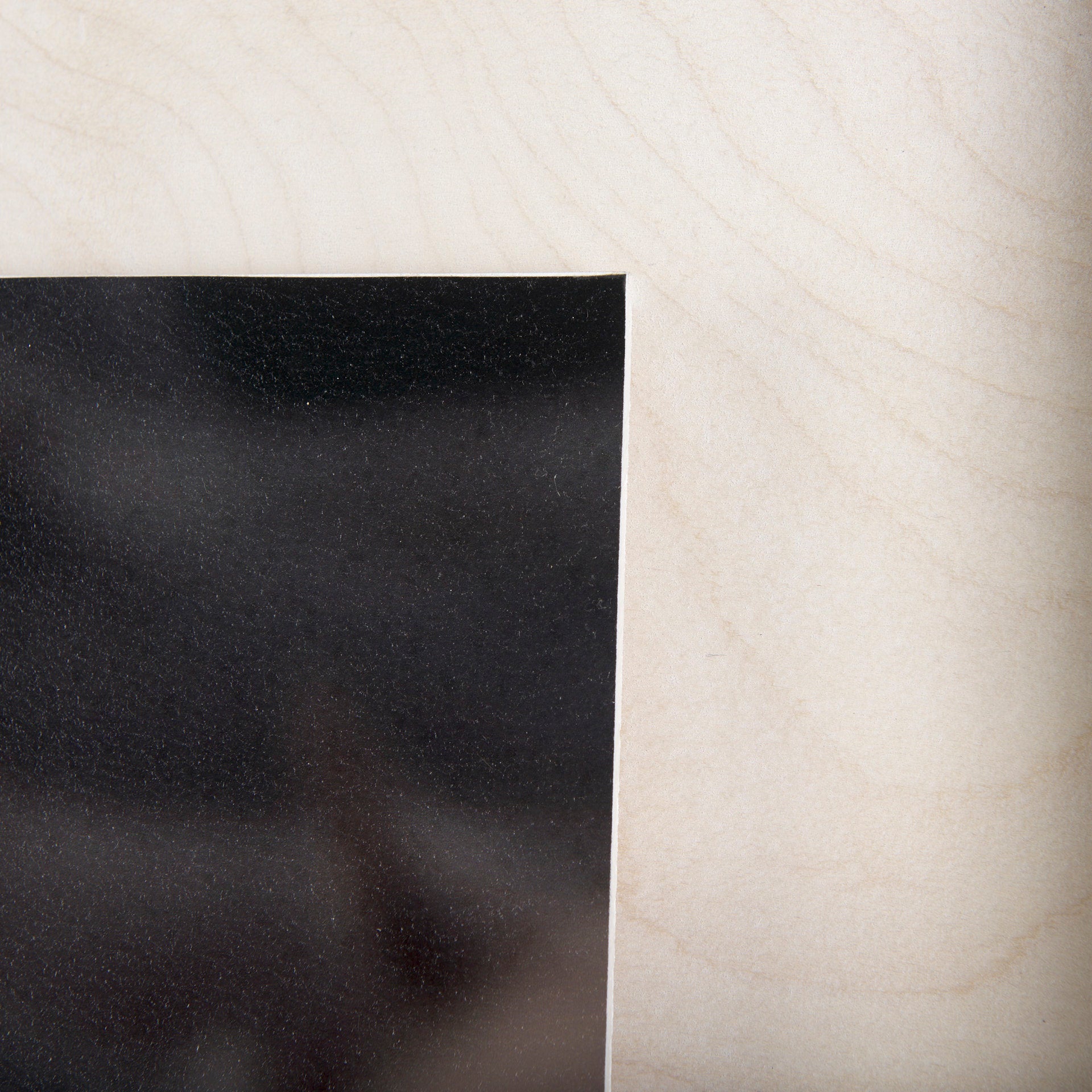 Hand-Embellished Framed Photo Art Custom White Horses Print