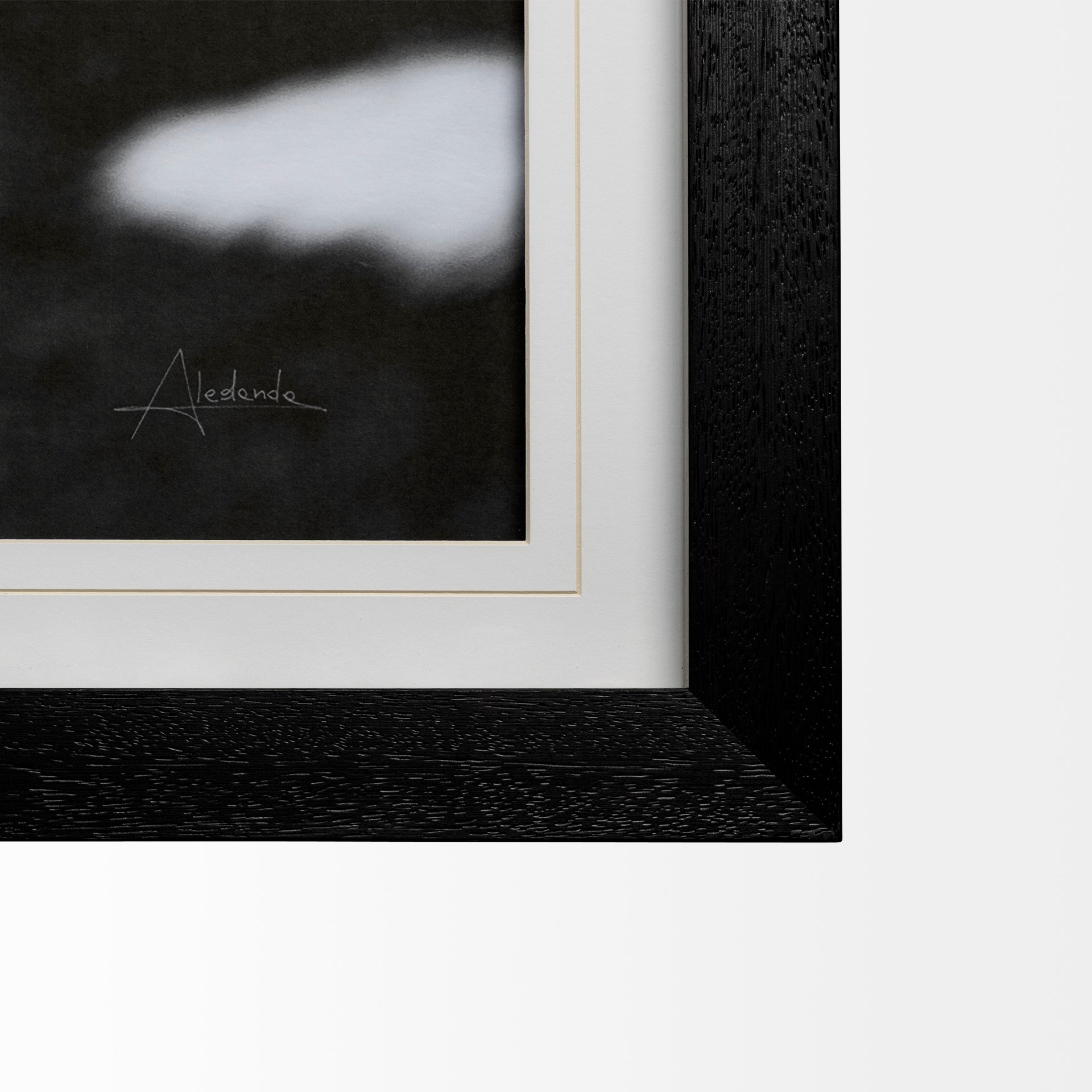 Flirt Framed Horse Photo Art Print Matted Under Glass