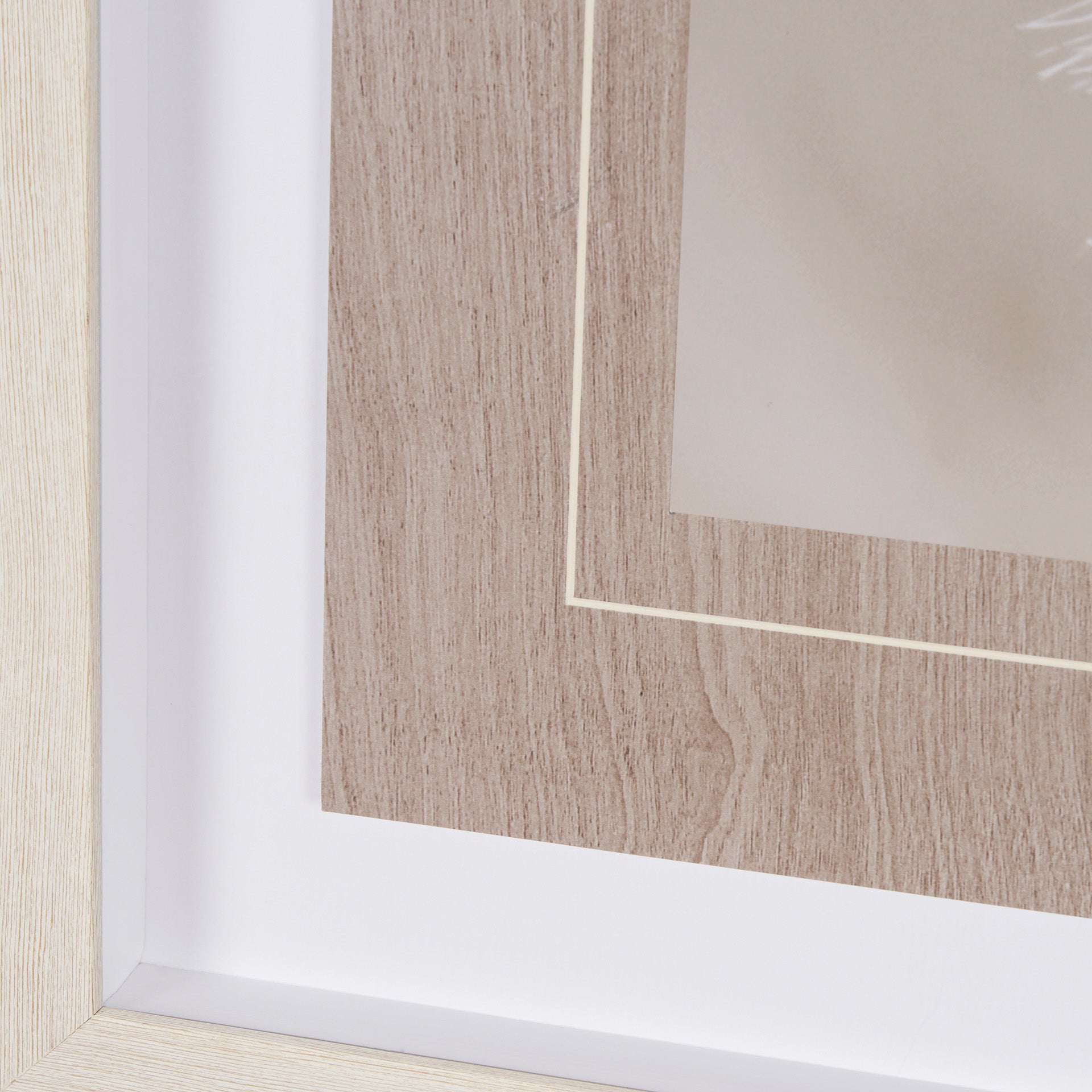 Bear Focus - Framed Art Photo Matted under Glass - Calgary Furniture Store