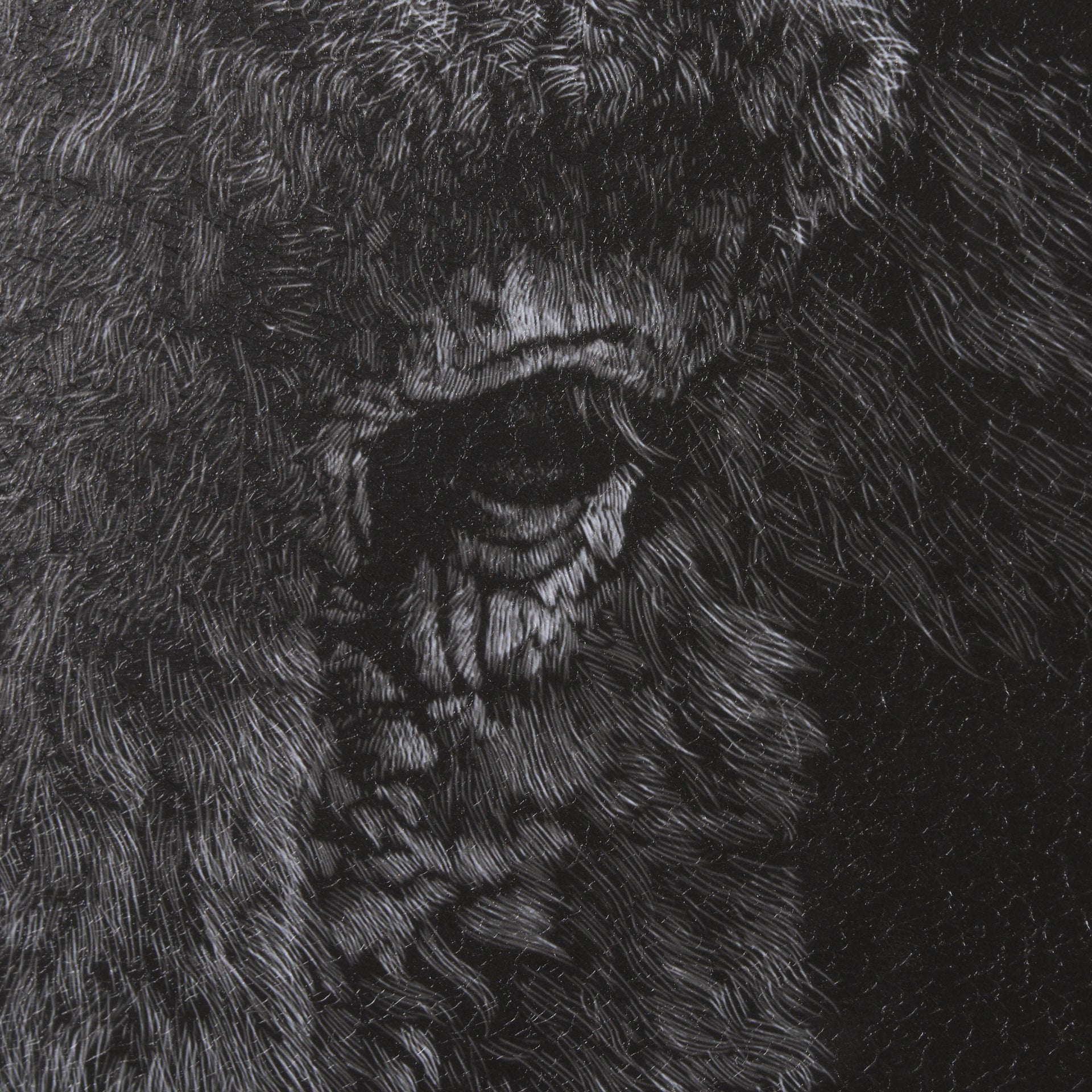 Custom Black Glimpse I Hand Embellished Framed Photo Art Print Matted under Glass - Calgary Furniture Store