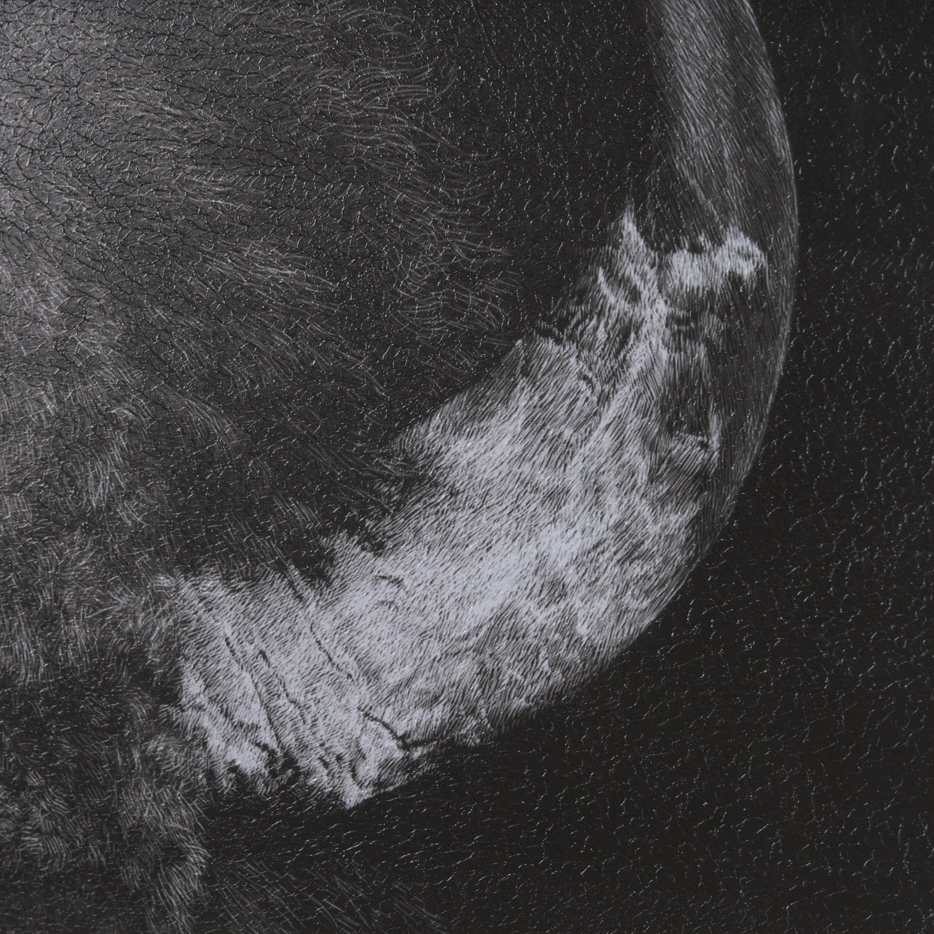 Custom Black Glimpse I Hand Embellished Framed Photo Art Print Matted under Glass - Calgary Furniture Store