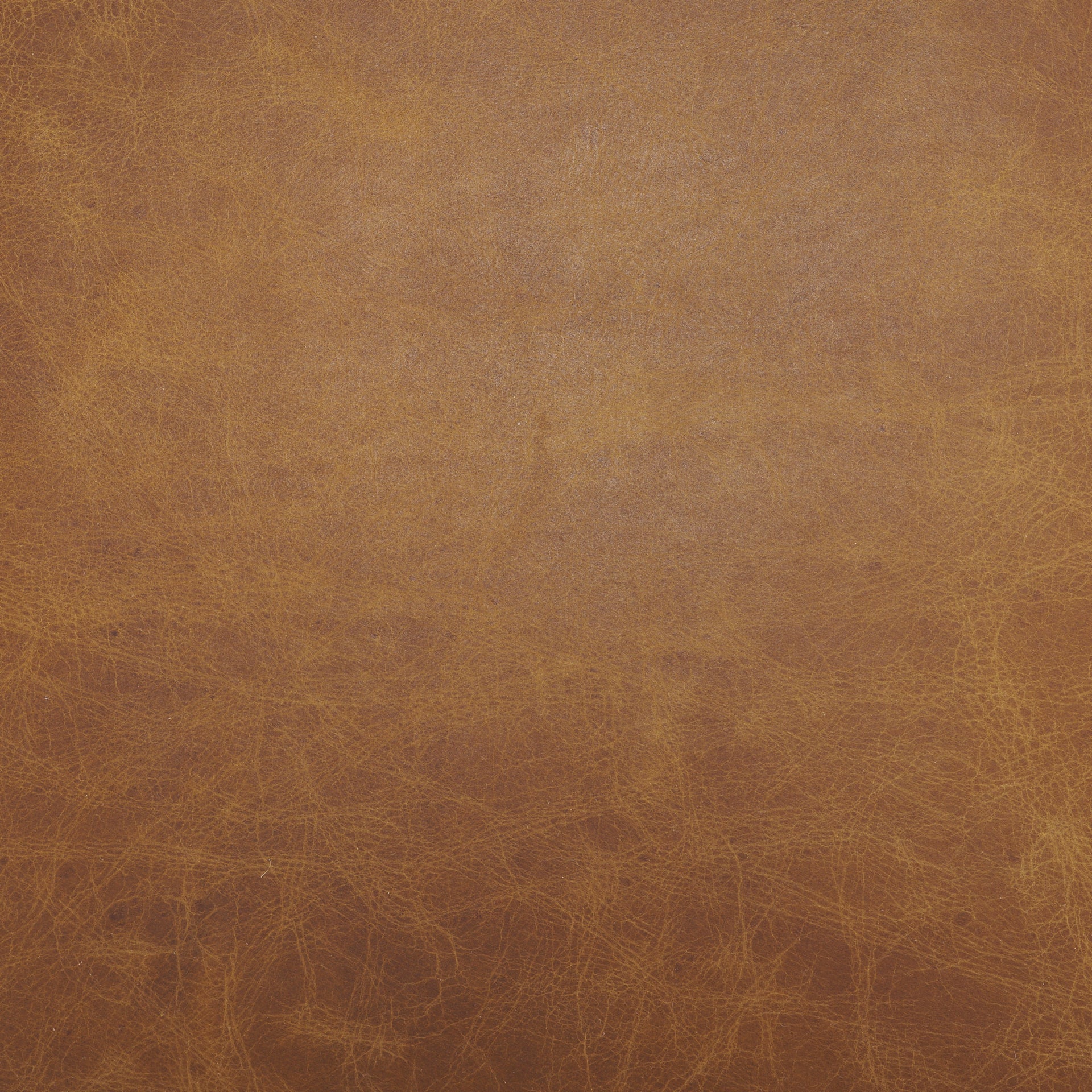 Hollyfield Brown Top-Grain Leather Dining Chair with Gold Frame