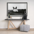Flirt Framed Horse Photo Art Print Matted Under Glass