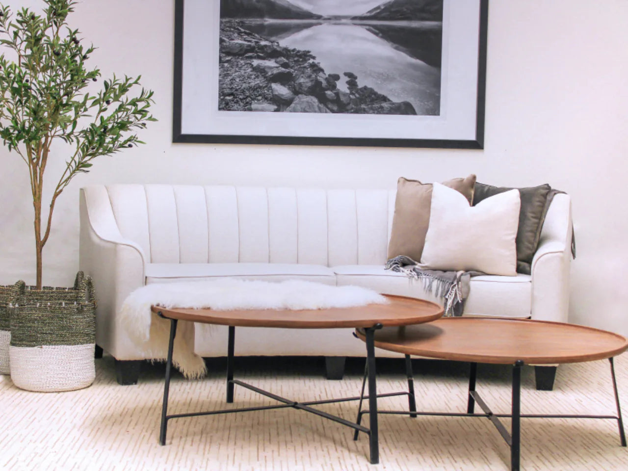 Chanel Curved Sofa 🇨🇦 | Calgary Furniture Store
