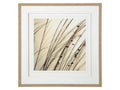 Organic I | Calgary Furniture Store