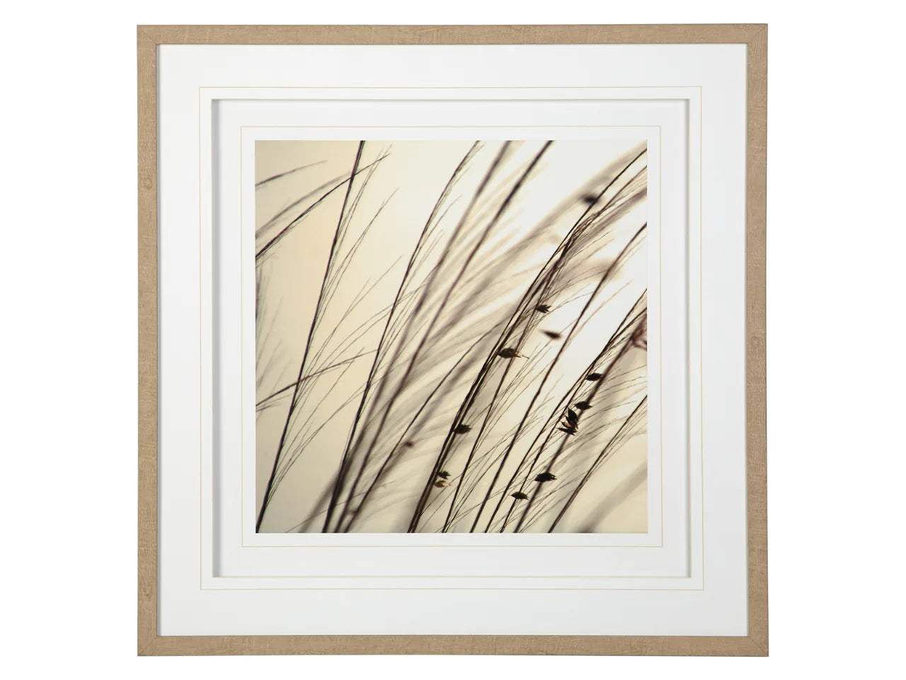 Organic I | Calgary Furniture Store
