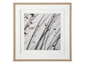 Organic II | Calgary Furniture Store