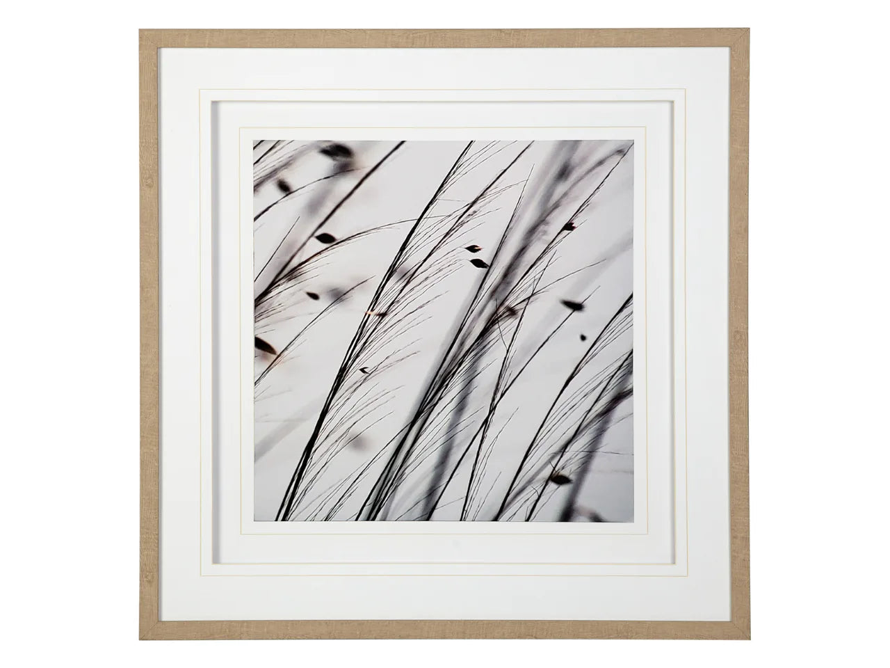 Organic II | Calgary Furniture Store