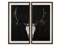Deer Skull 2 Pieces Wall Art 🇨🇦 | Calgary Furniture Store