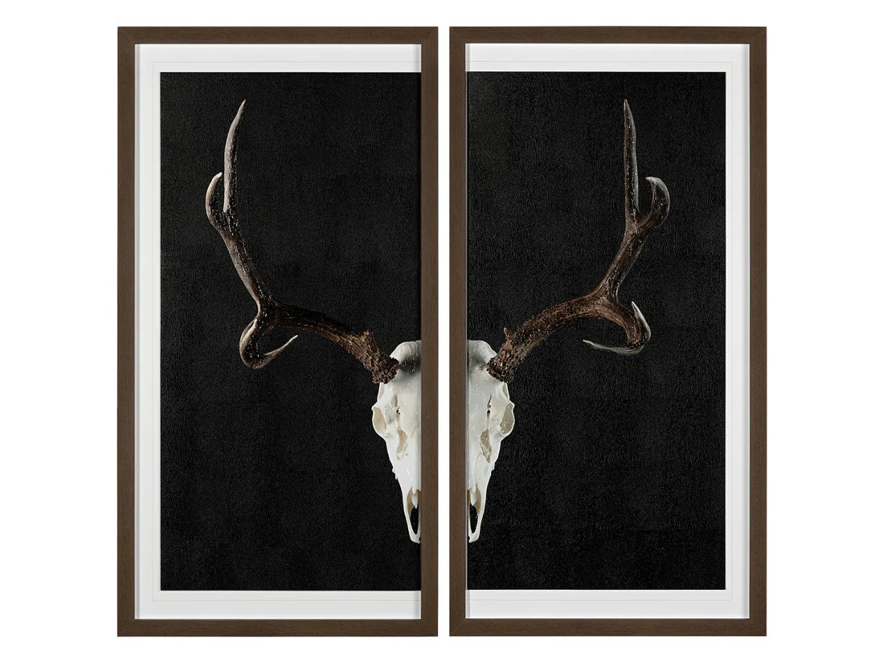 Deer Skull 2 Pieces Wall Art 🇨🇦 | Calgary Furniture Store