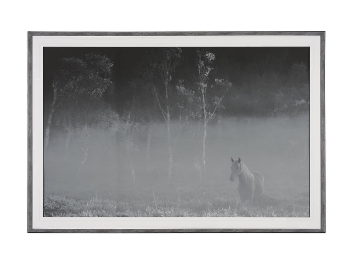 Quiet Morning by Matt Roseveare a Framed Photo Art Print Matted under Glass - Calgary Furniture Store