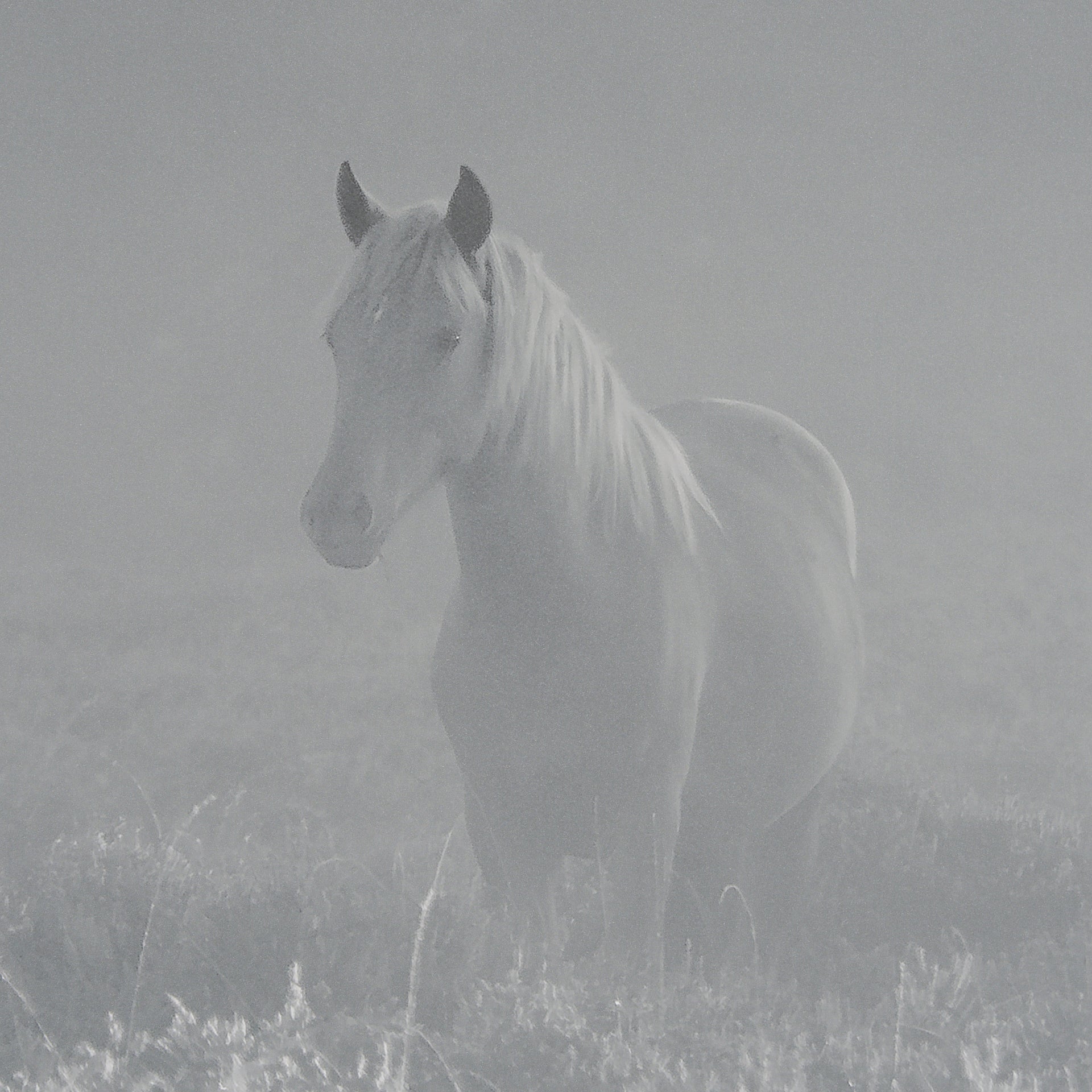 Quiet Morning by Matt Roseveare a Framed Photo Art Print Matted under Glass