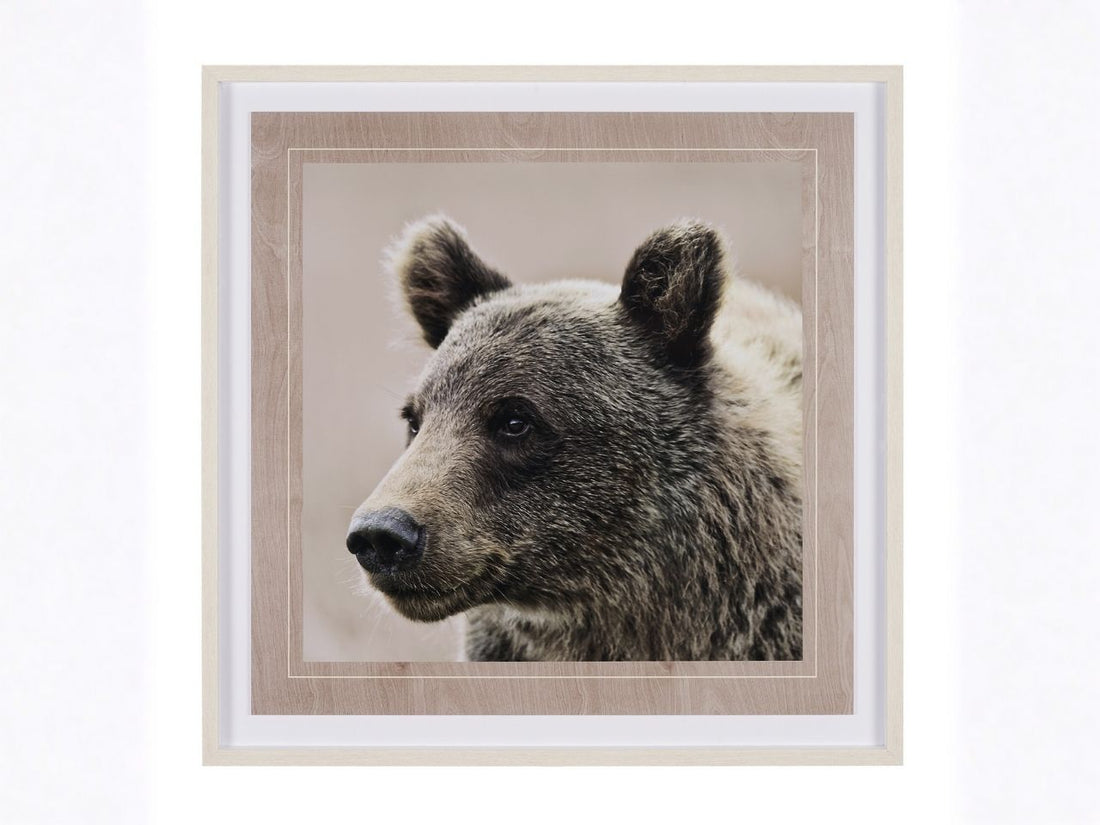 Bear Focus – Hush’ by Wink Gaines in Calgary front view