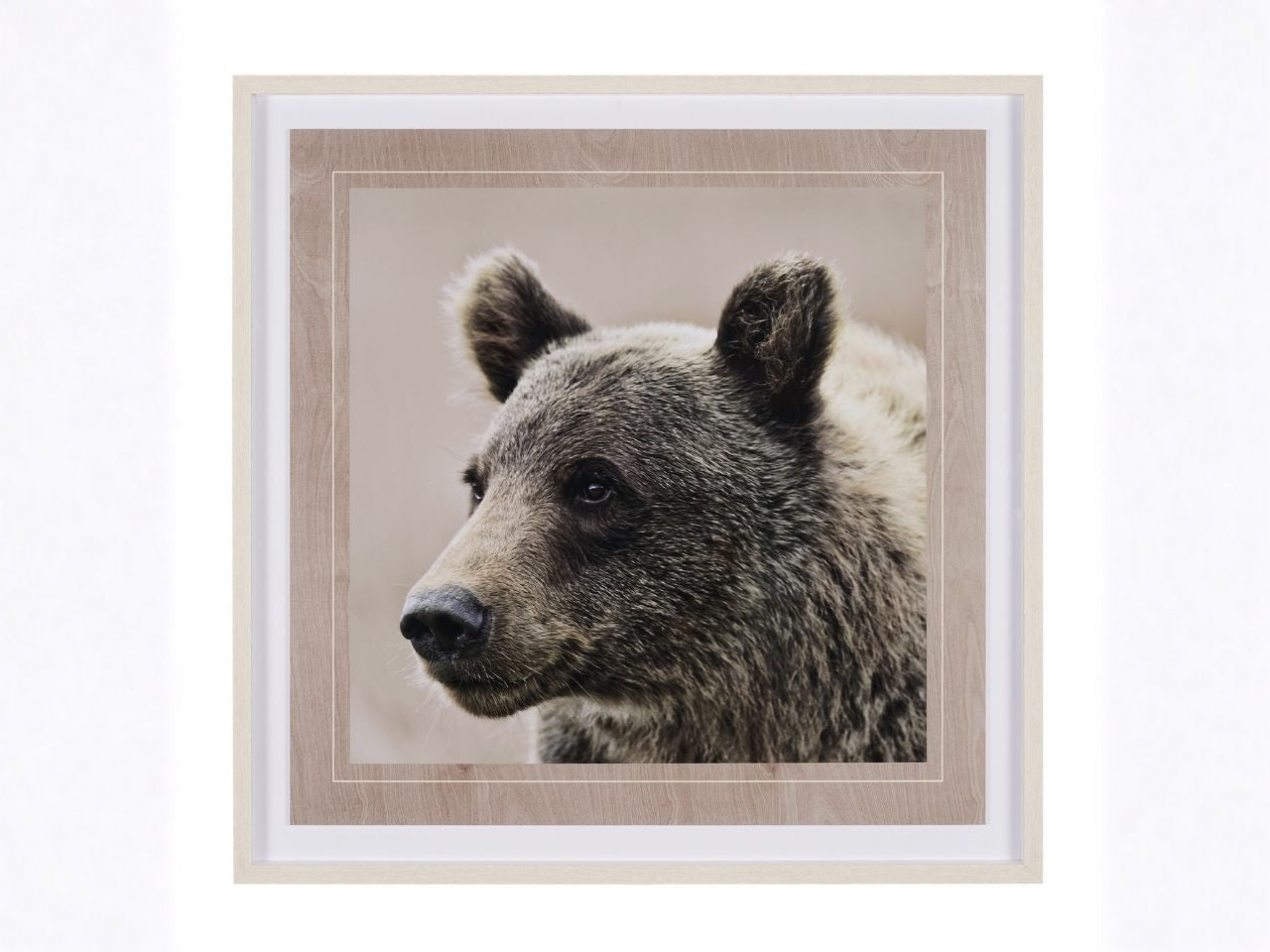 Bear Focus – Hush’ by Wink Gaines in Calgary front view