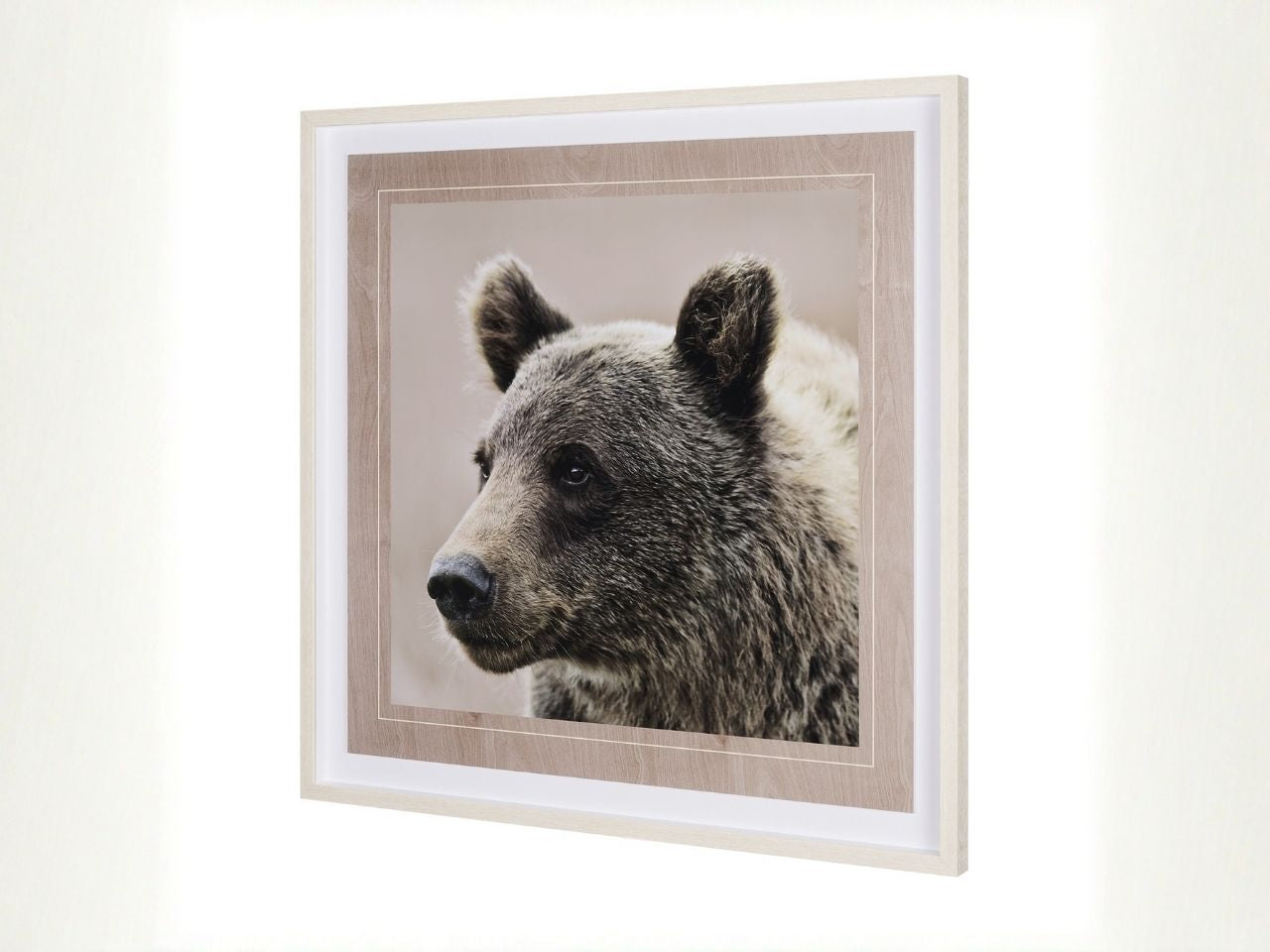 Bear Focus – Hush’ by Wink Gaines in Calgary side view