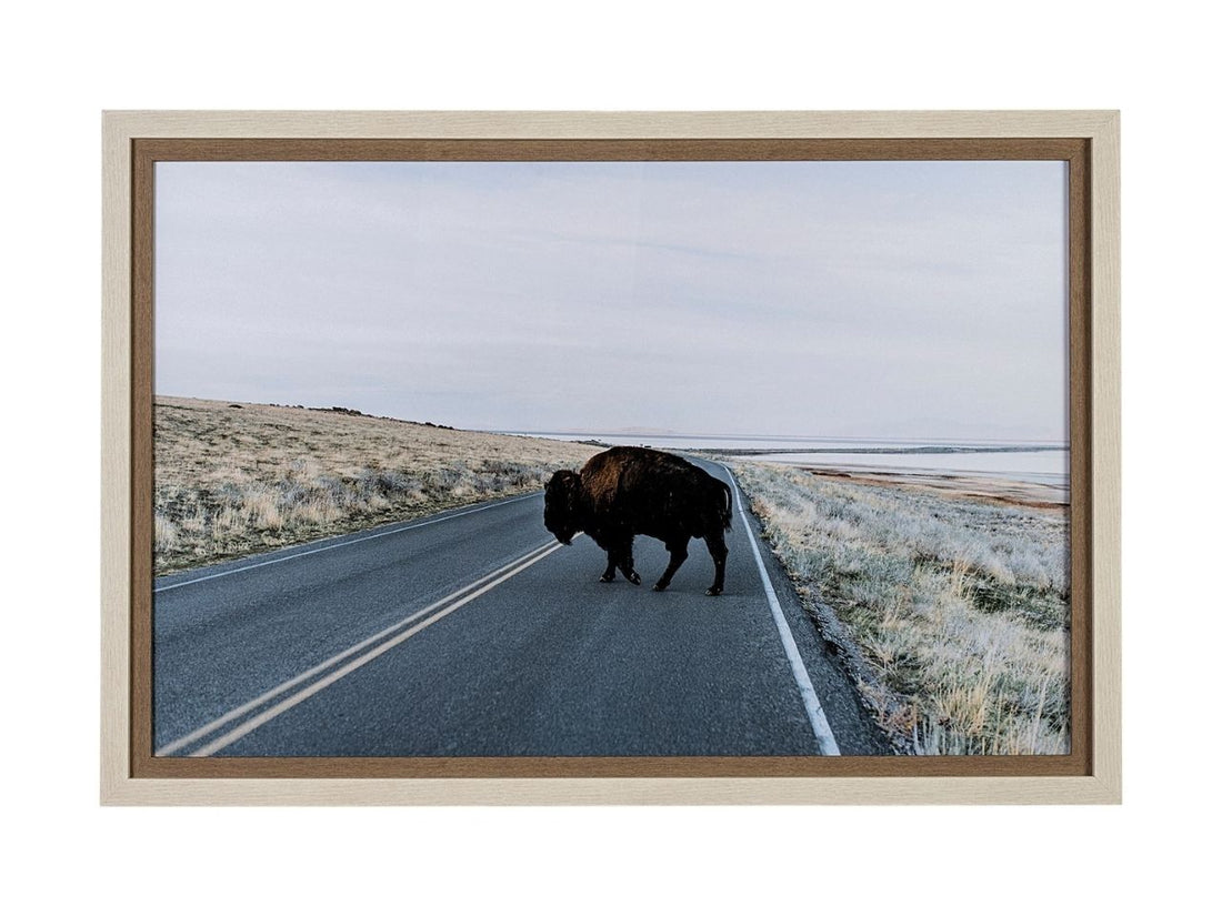 Bison Crossing Hand Embelished Textured Framed Photo Art in Calgary front view