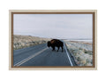 Bison Crossing Hand Embelished Textured Framed Photo Art in Calgary front view